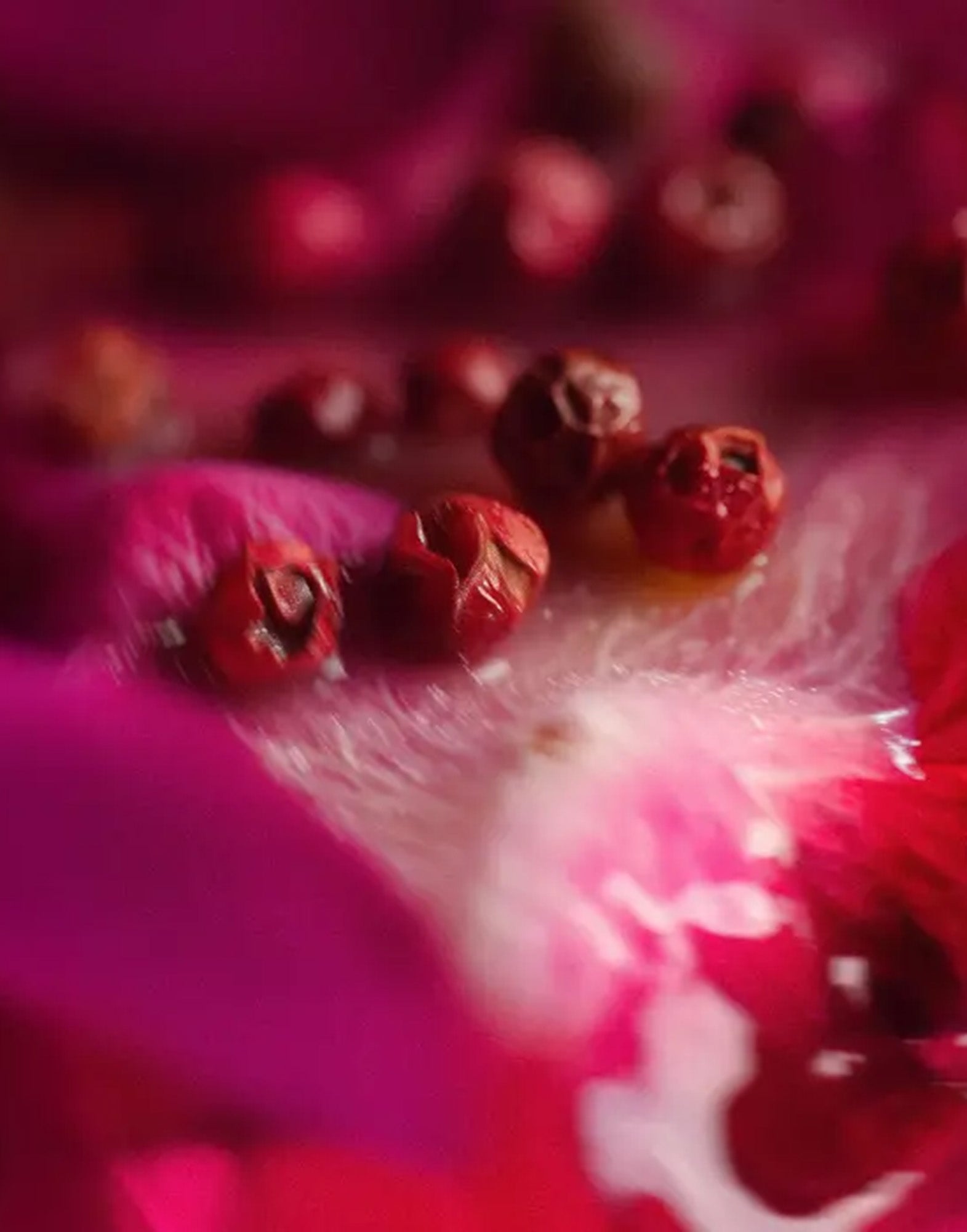DR. VRANJES Eau de Parfum Petaloso