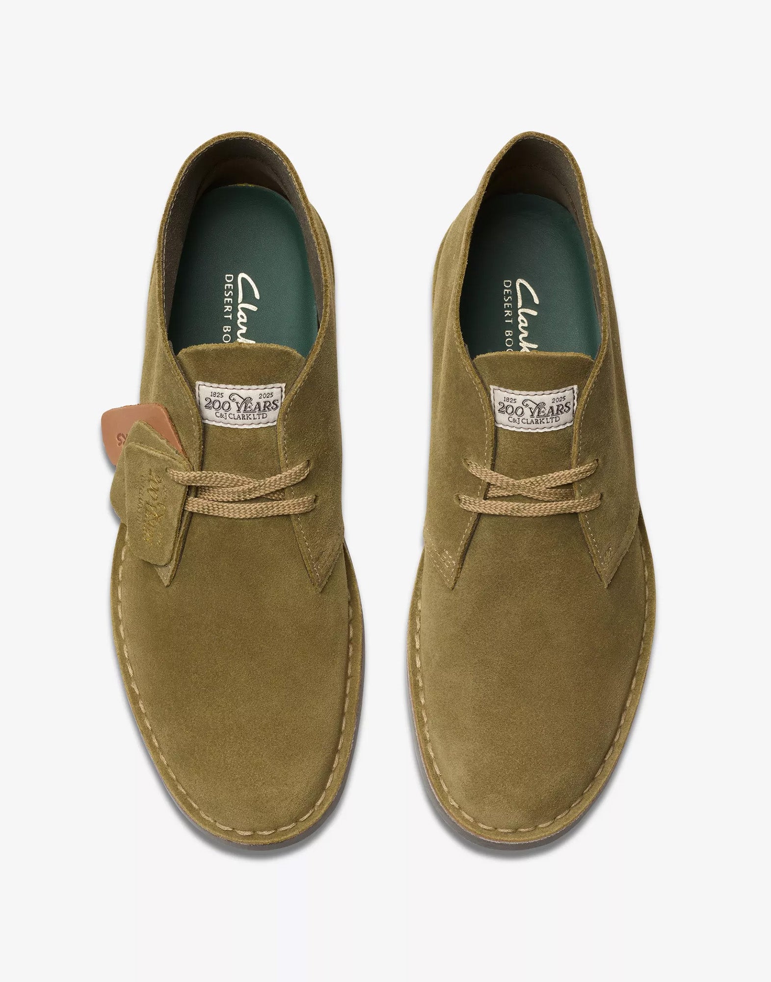 CLARKS Polacchine Desert Boot Evo in Camoscio Verde Oliva