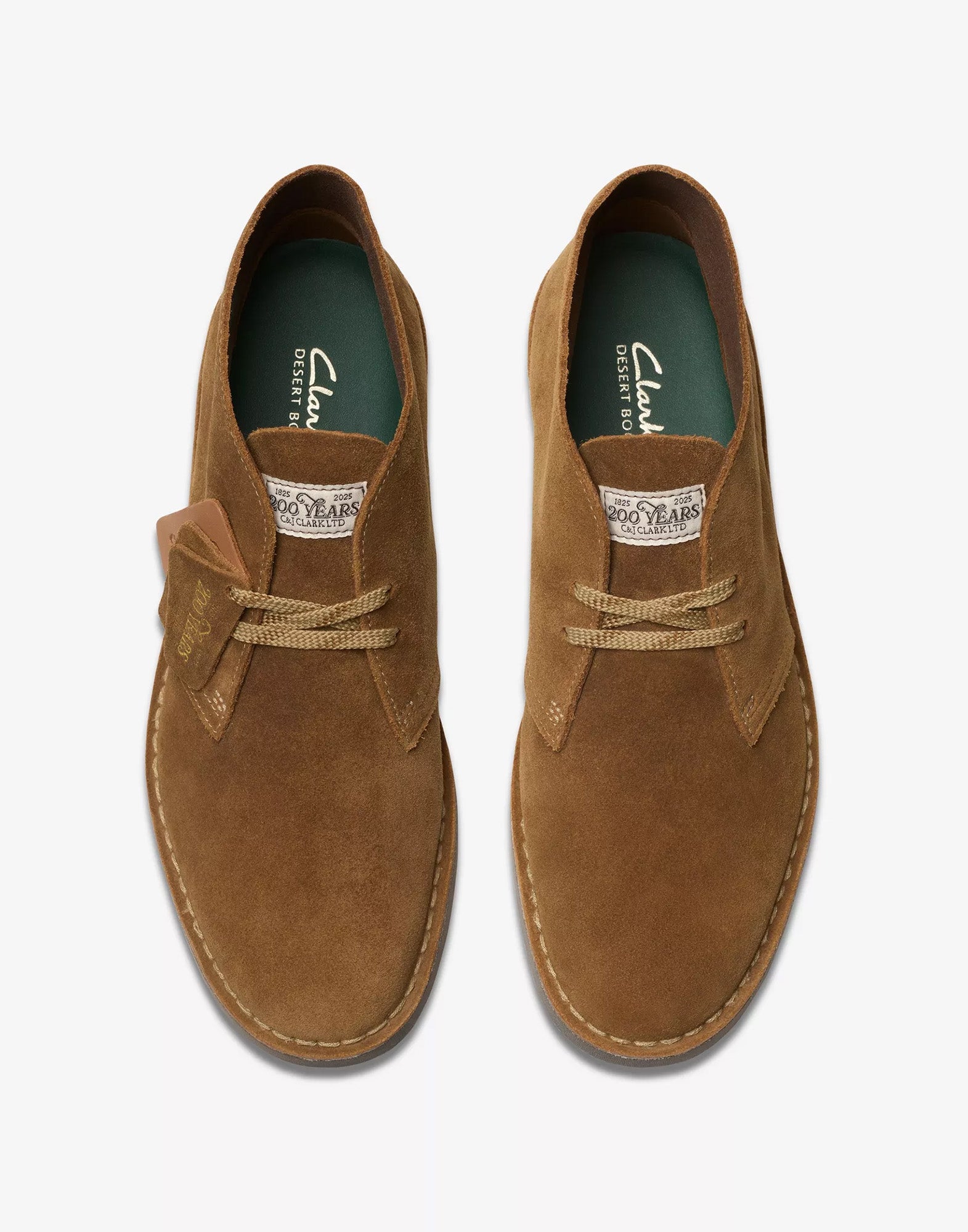 CLARKS Polacchine Desert Boot Evo in Camoscio Cola