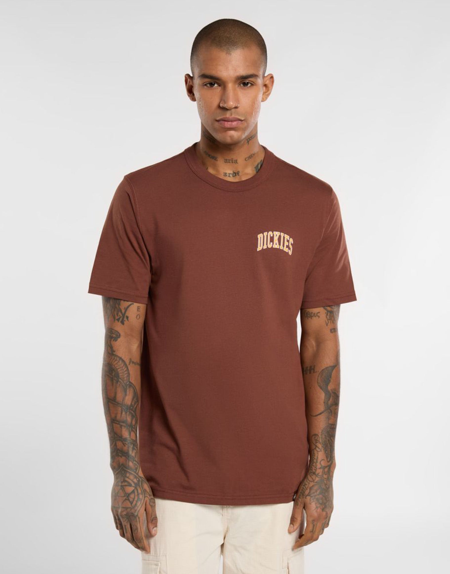 DICKIES T-shirt Aitkin Cappuccino