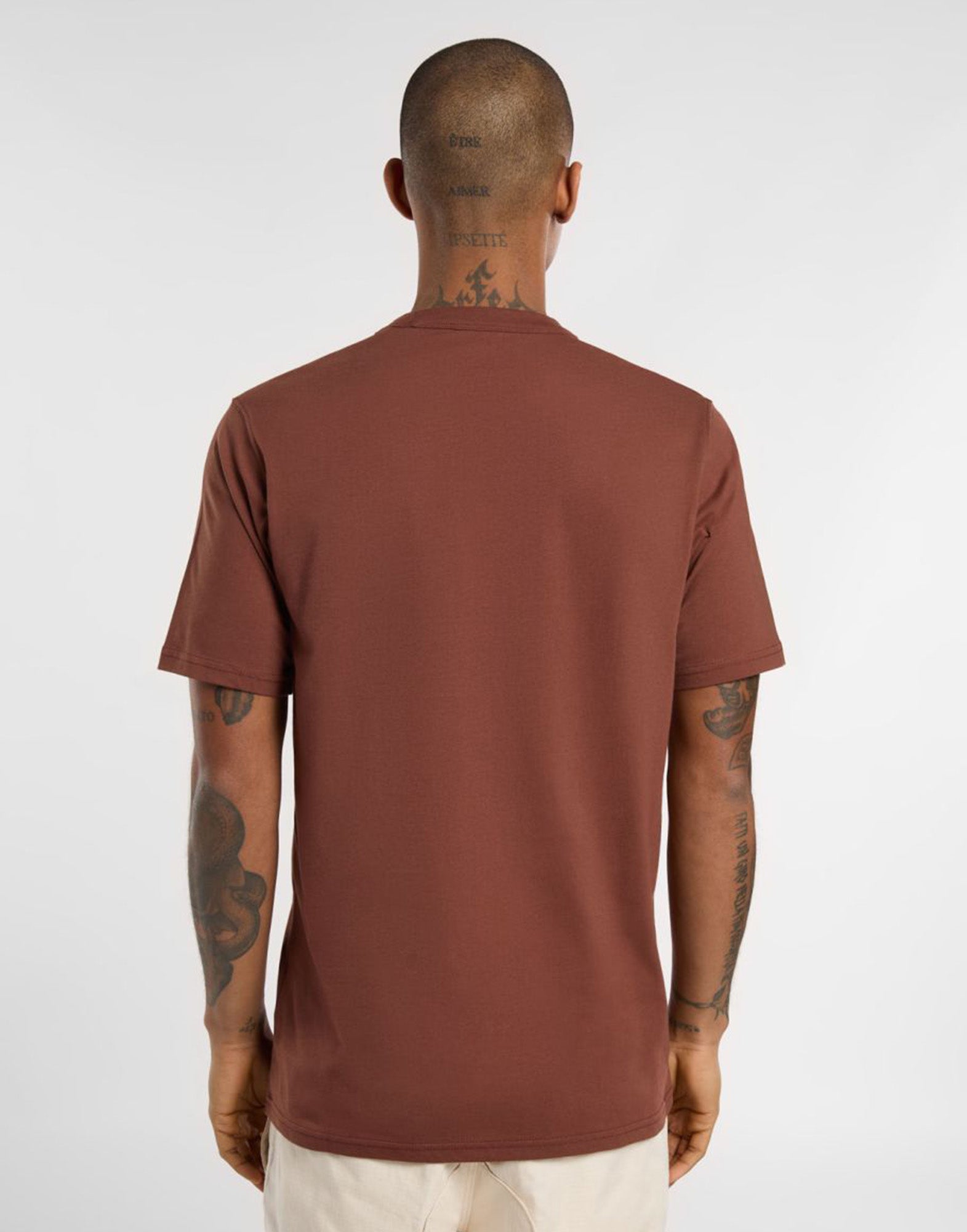 DICKIES T-shirt Aitkin Cappuccino