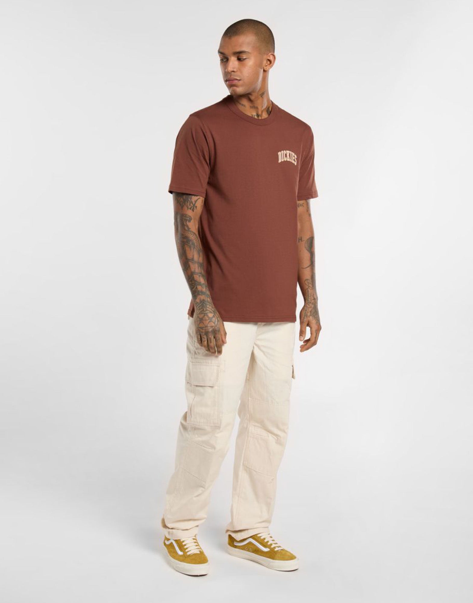 DICKIES T-shirt Aitkin Cappuccino