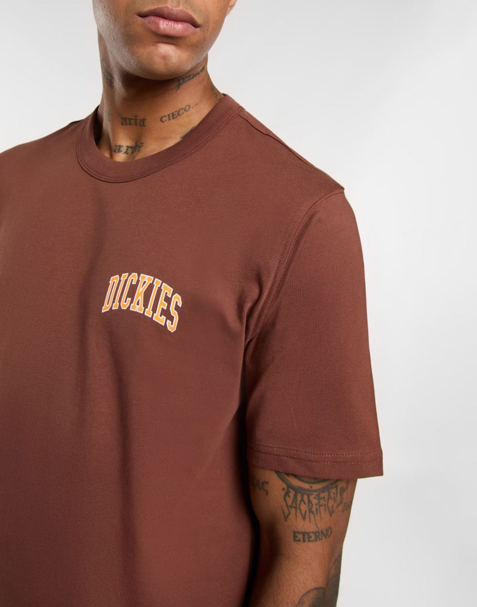 DICKIES T-shirt Aitkin Cappuccino