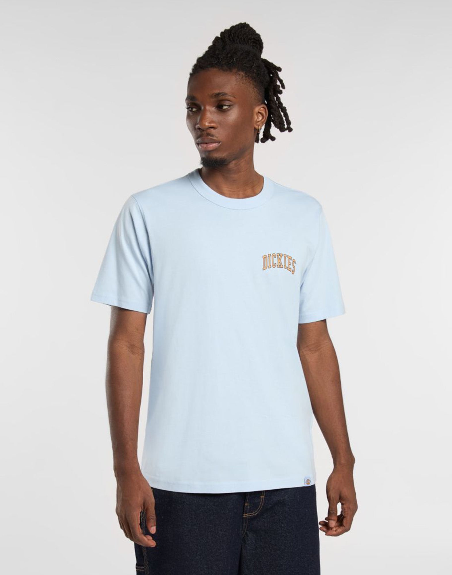 DICKIES T-shirt Aitkin Skyway