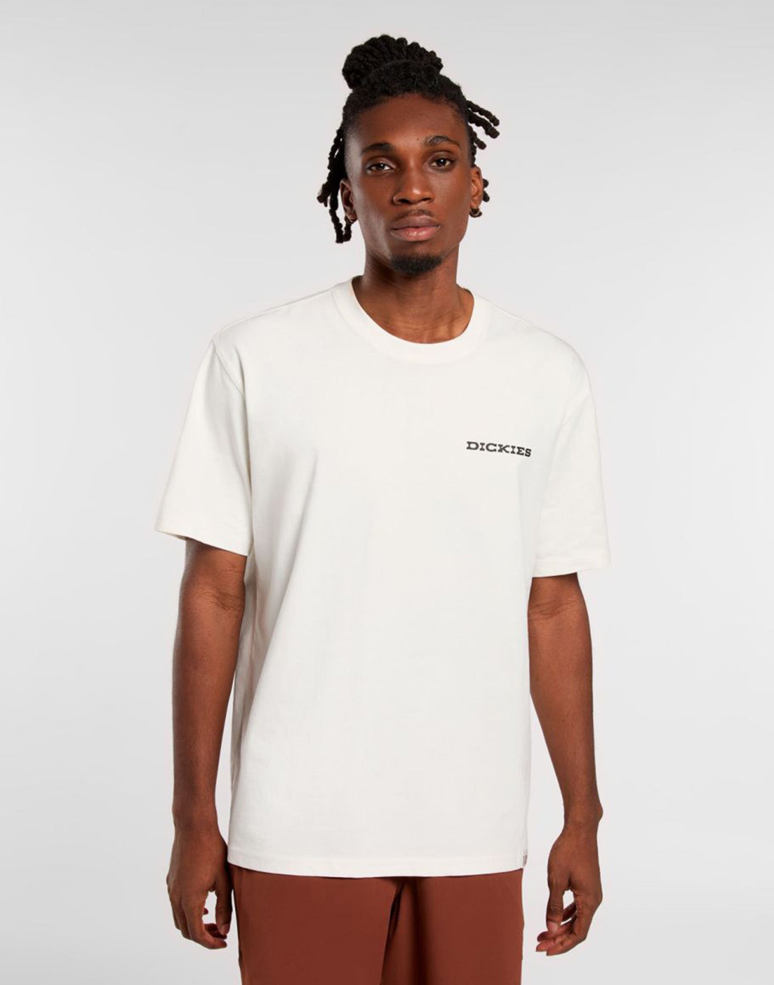 DICKIES T-shirt Landscape Beige