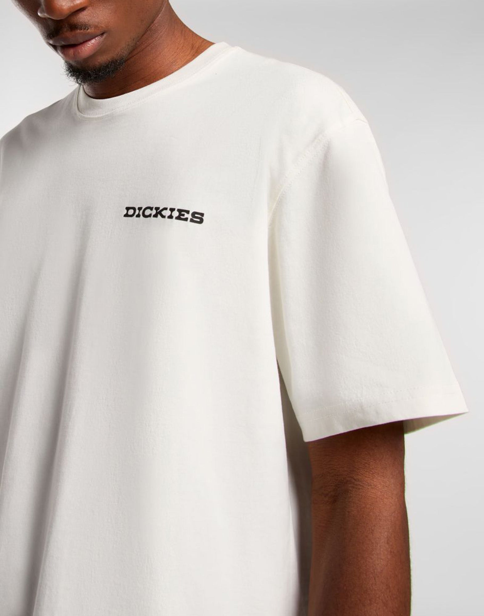 DICKIES T-shirt Landscape Beige