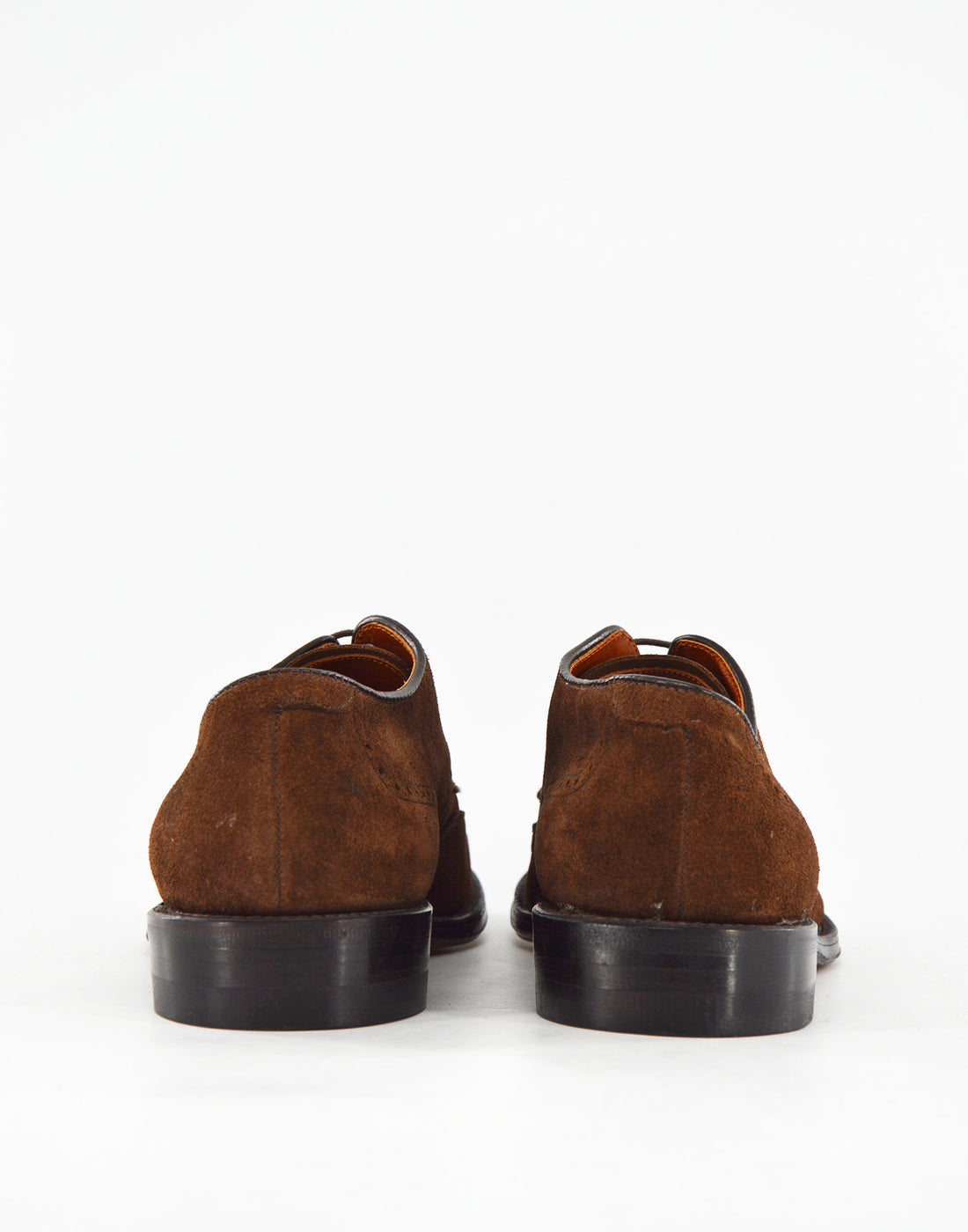 ALDEN Derby Wingtip in Suede Fondo Cuoio Color Humus