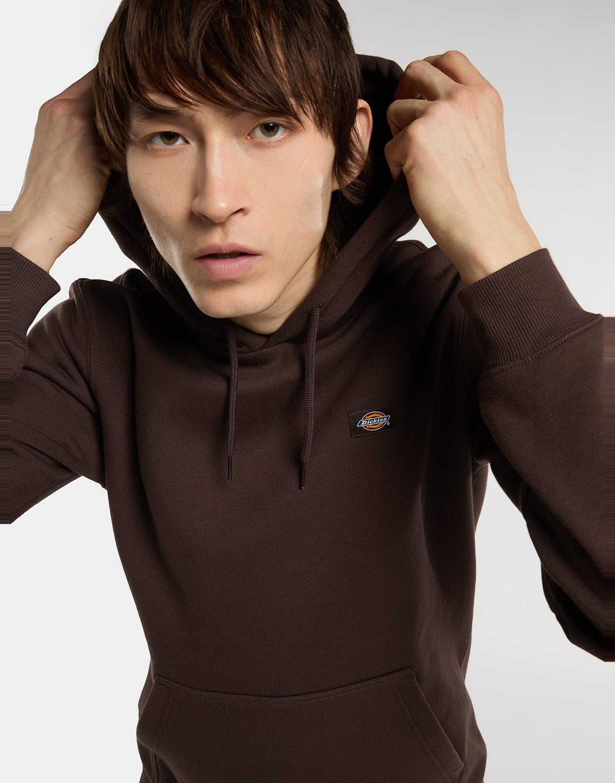 DICKIES Felpa Oakport con Cappuccio Chocolate Brown