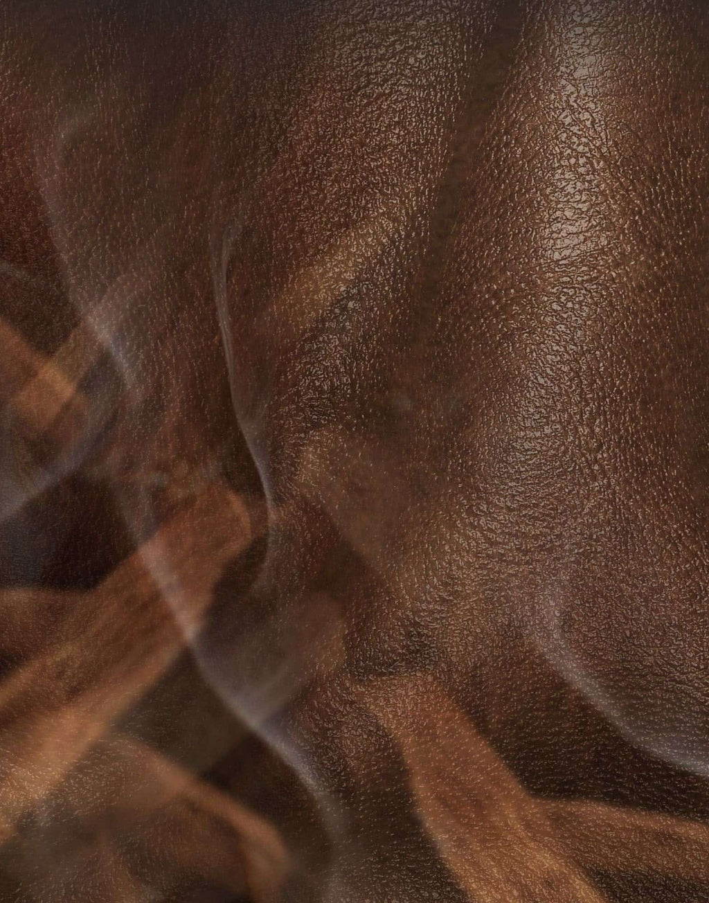 DR. VRANJES Eau de Parfum Leather Oud 100 ml