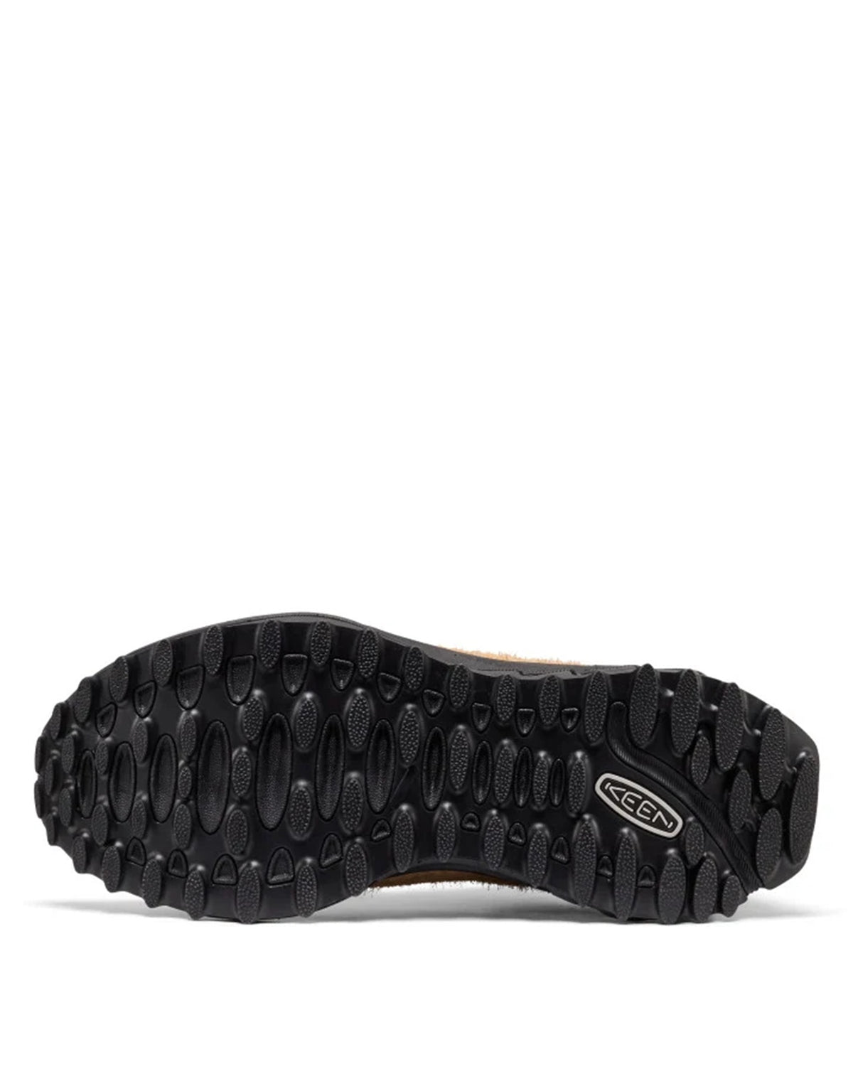 KEEN Sneakers Jasper Zionic Chipmunk / Huckleberry