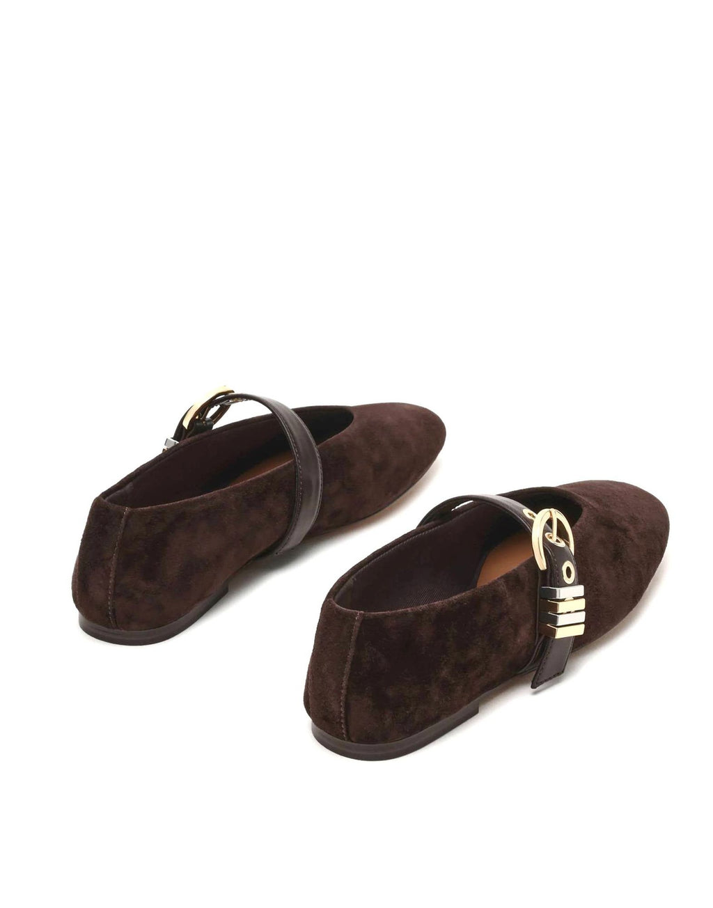 STEVE MADDEN Ballerine Lucia con Fibbia Marrone Suede