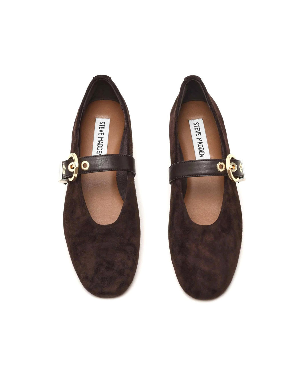 STEVE MADDEN Ballerine Lucia con Fibbia Marrone Suede