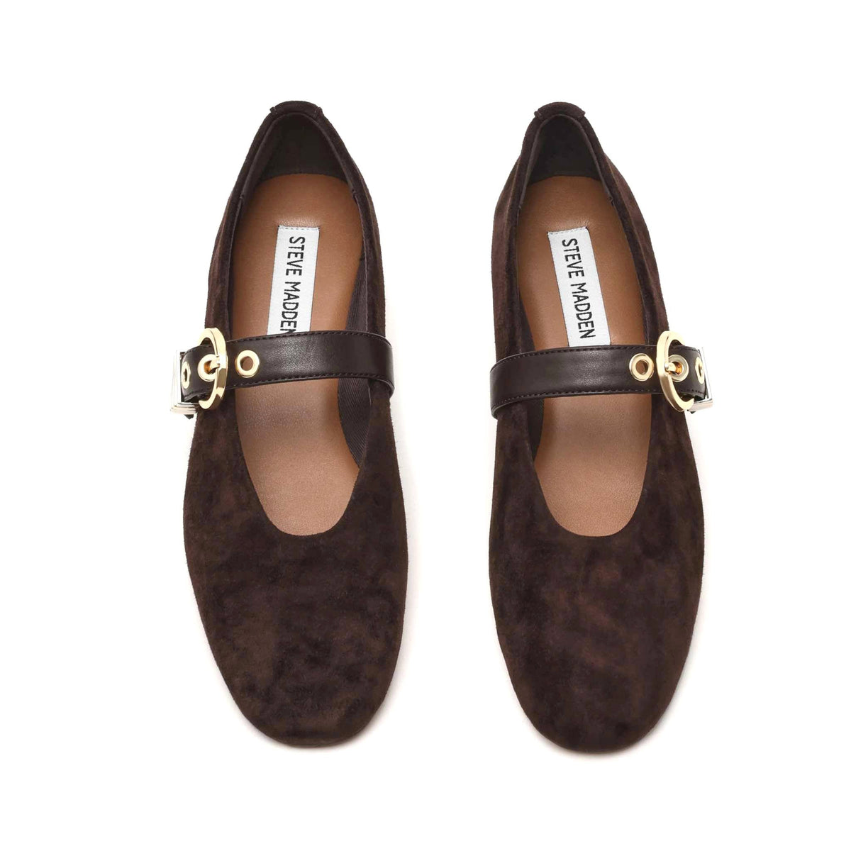 STEVE MADDEN Ballerine Lucia con Fibbia Marrone Suede