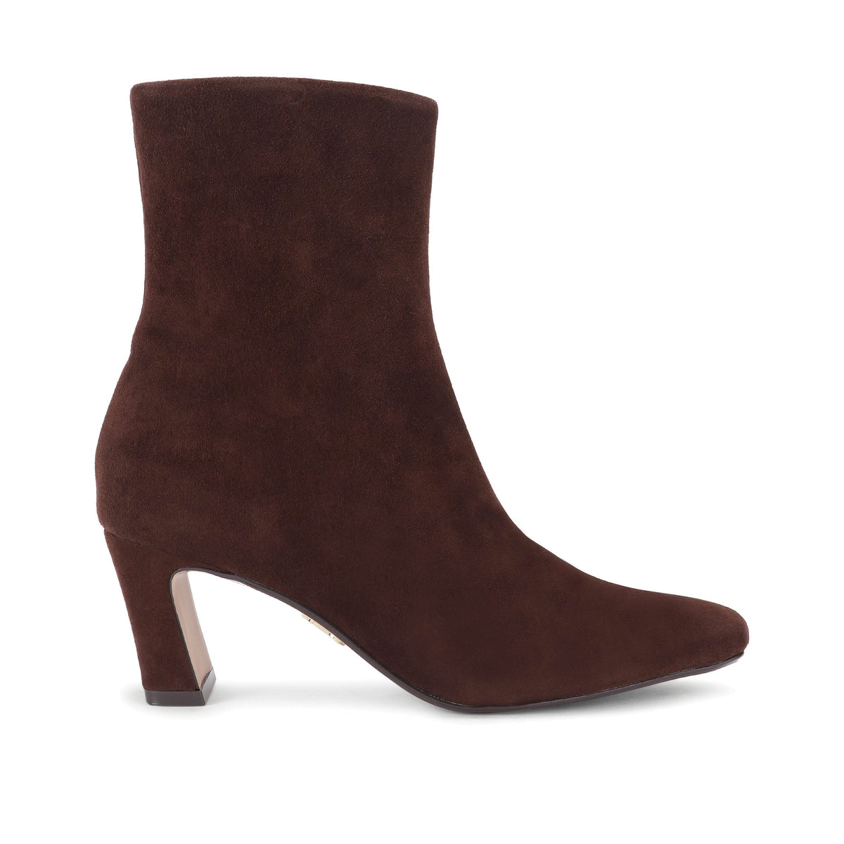 STEVE MADDEN Stivaletti Willah a Punta con Tacco Marrone Cioccolato Suede
