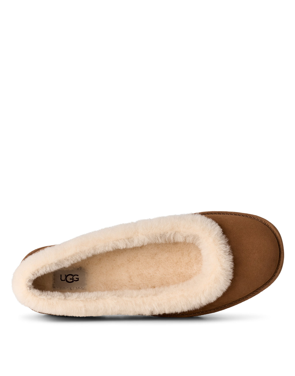 UGG Zora Ballerine in Camoscio Chestnut