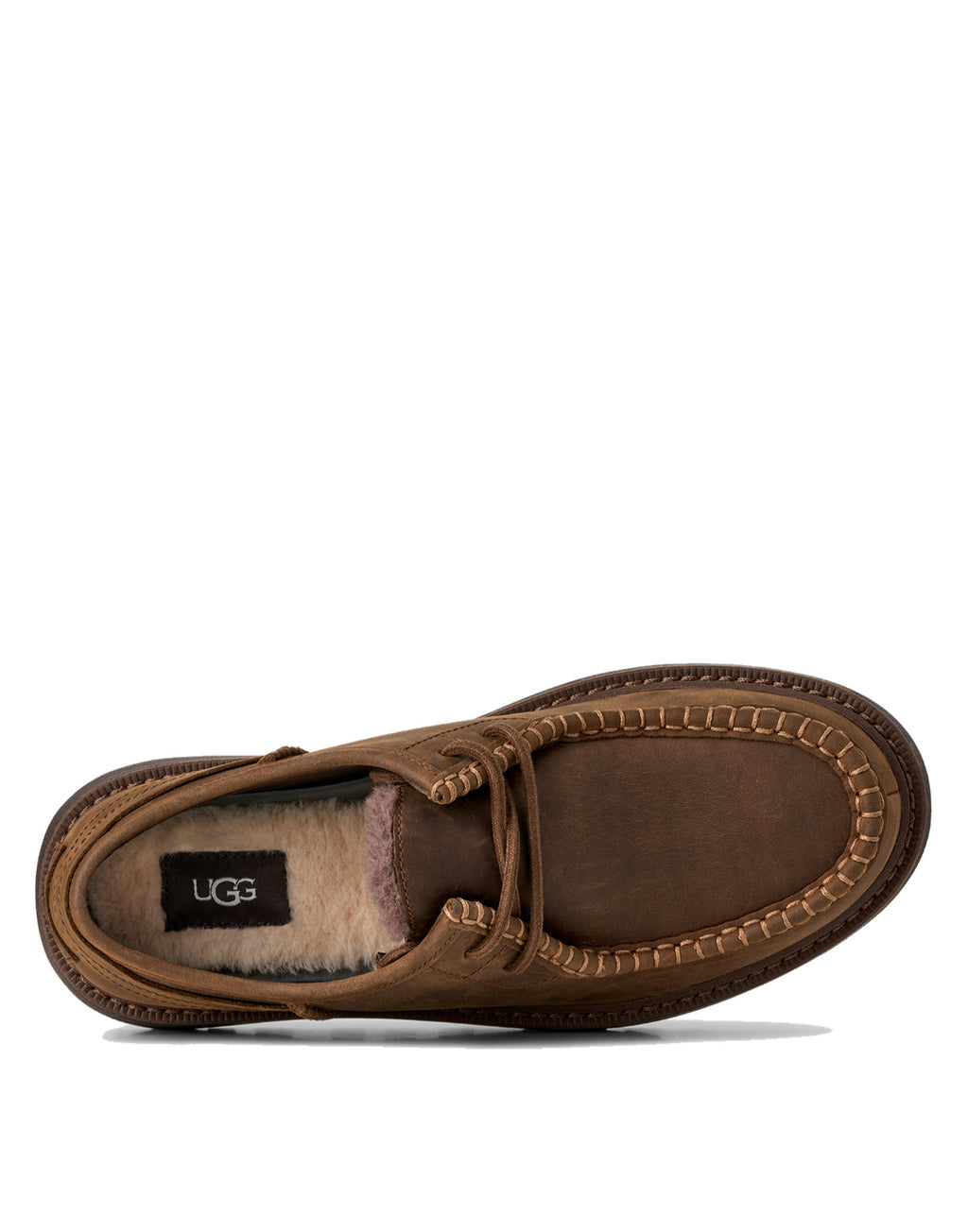 UGG Scarpe Stringate Loften in Pelle Oak