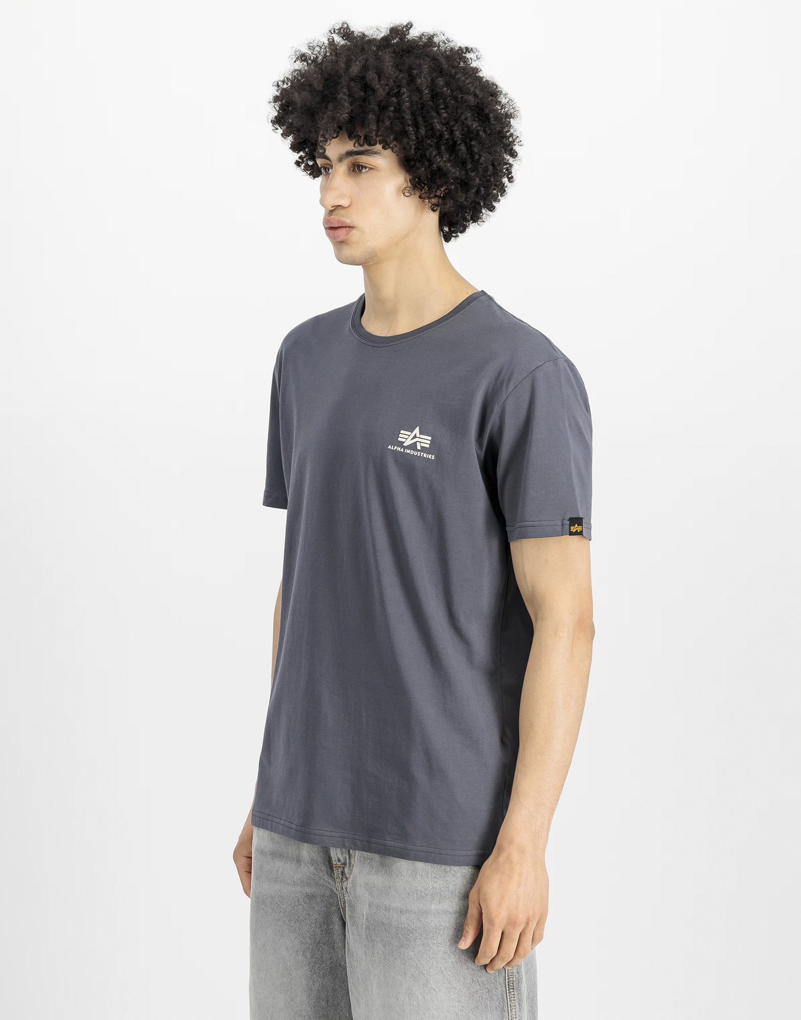 ALPHA INDUSTRIES Basic Small Logo T-Shirt GreyBlack