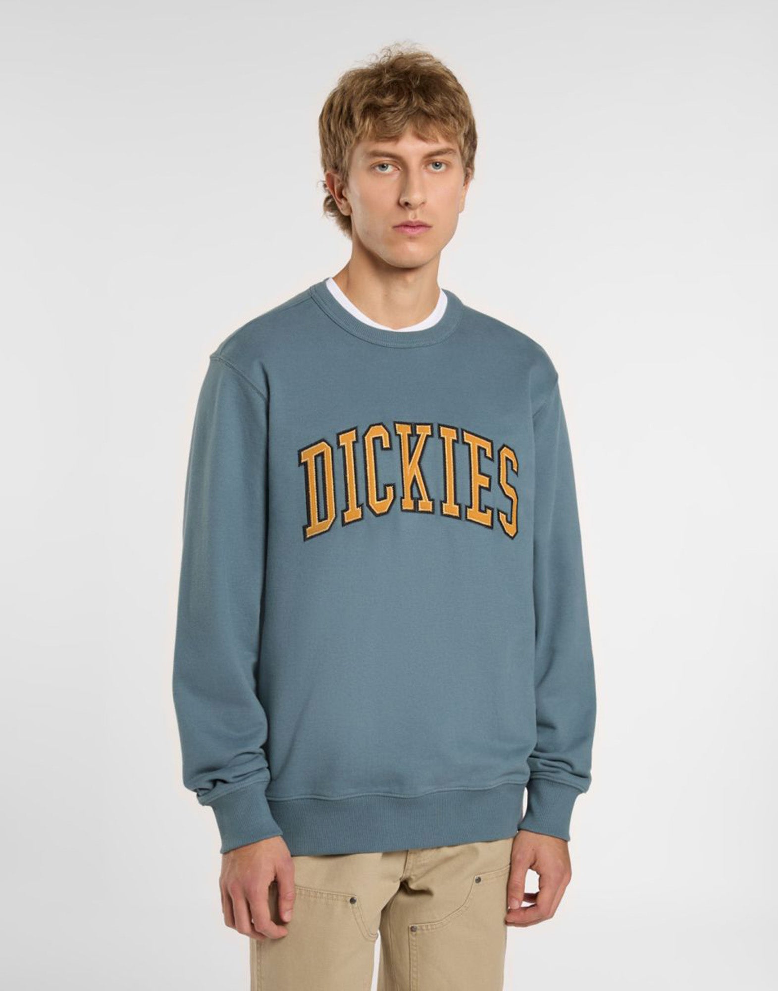DICKIES Felpa Aitkin Stormy Weather
