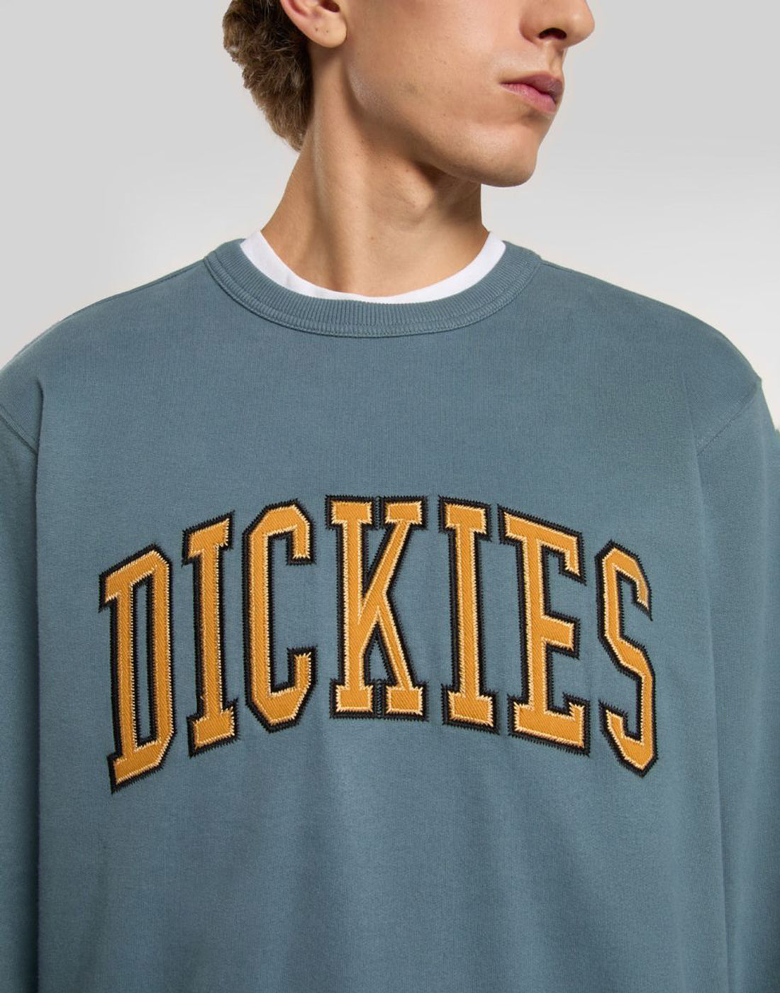 DICKIES Felpa Aitkin Stormy Weather