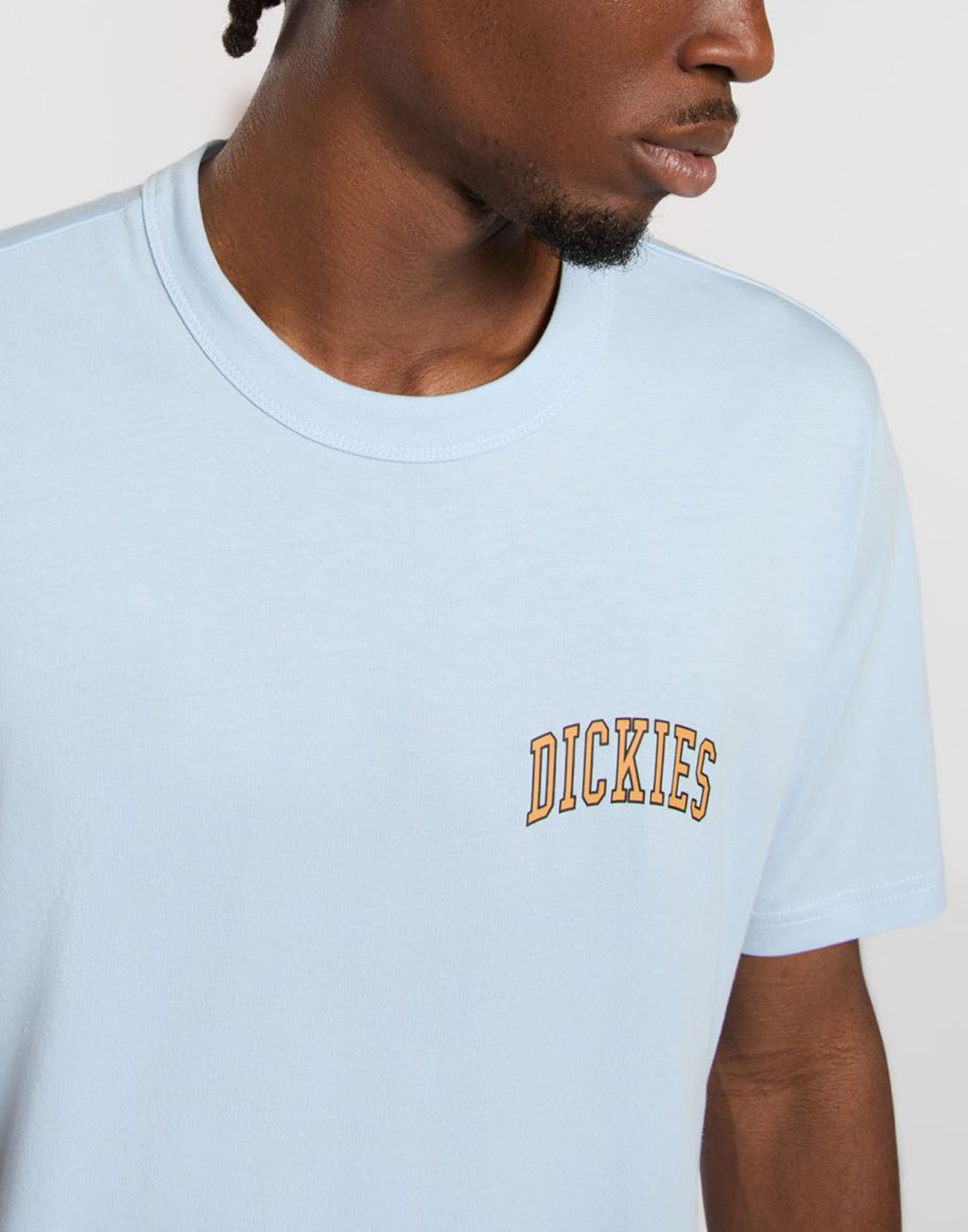 DICKIES T-shirt Aitkin Skyway