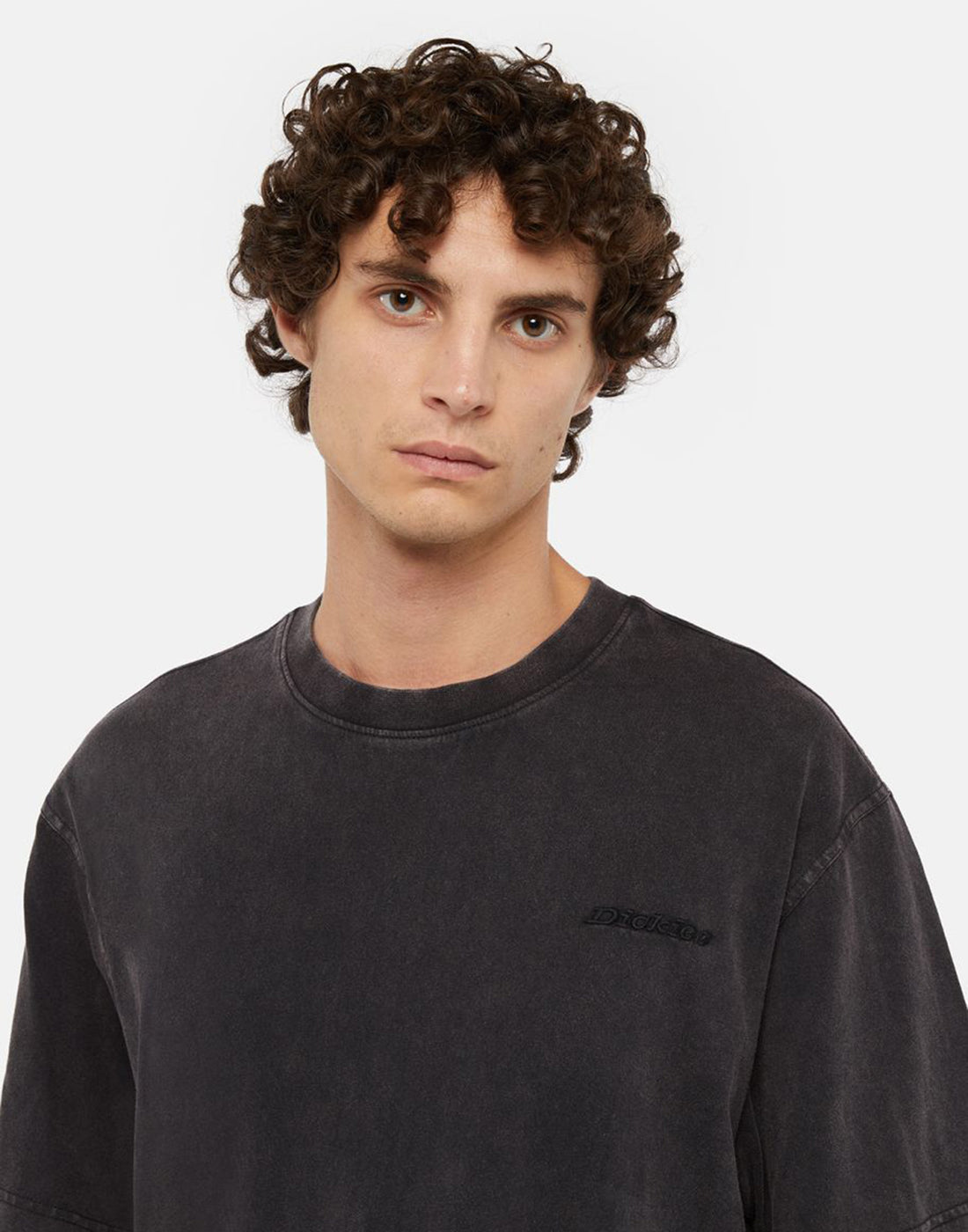 DICKIES T-shirt Plentywood Nera