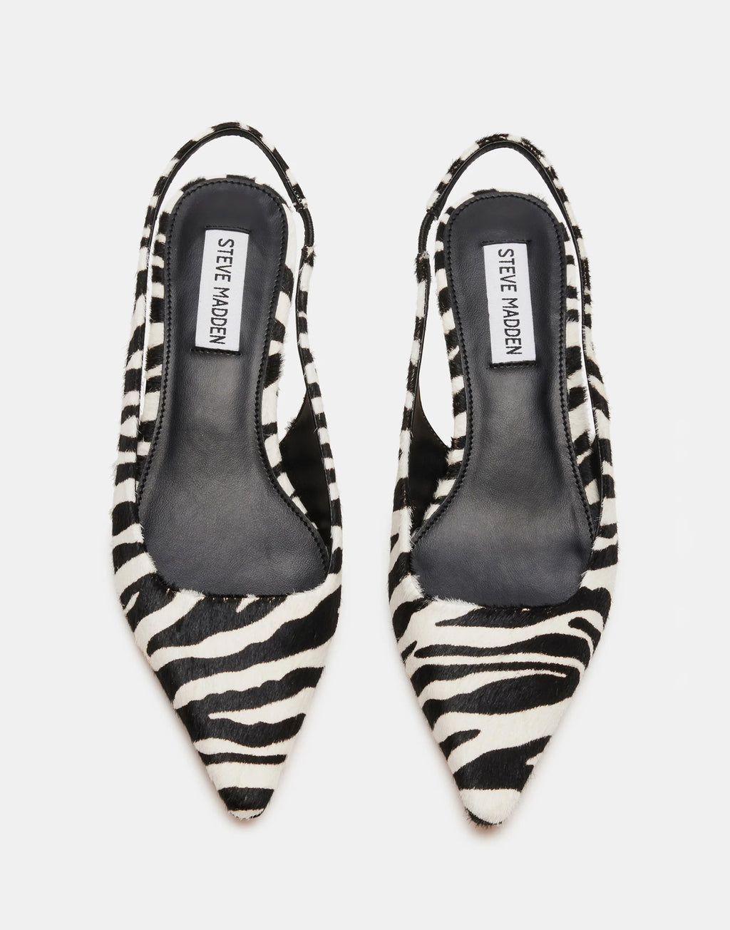 STEVE MADDEN Décolleté Kari Zebra