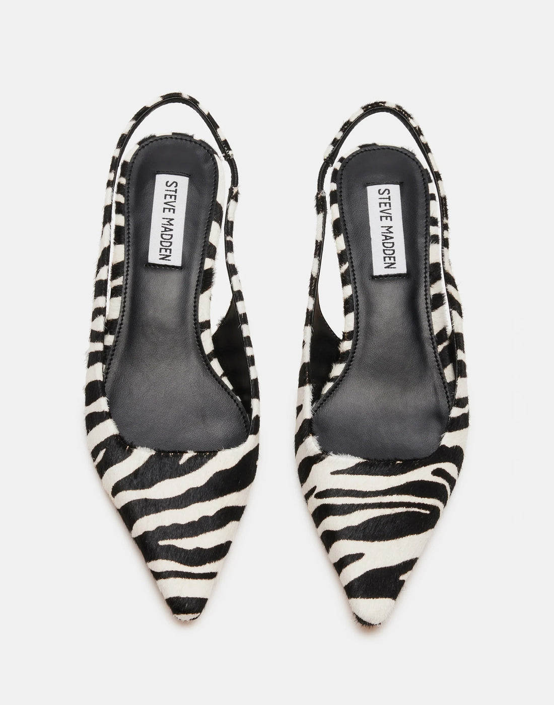 STEVE MADDEN Décolleté Kari Zebra