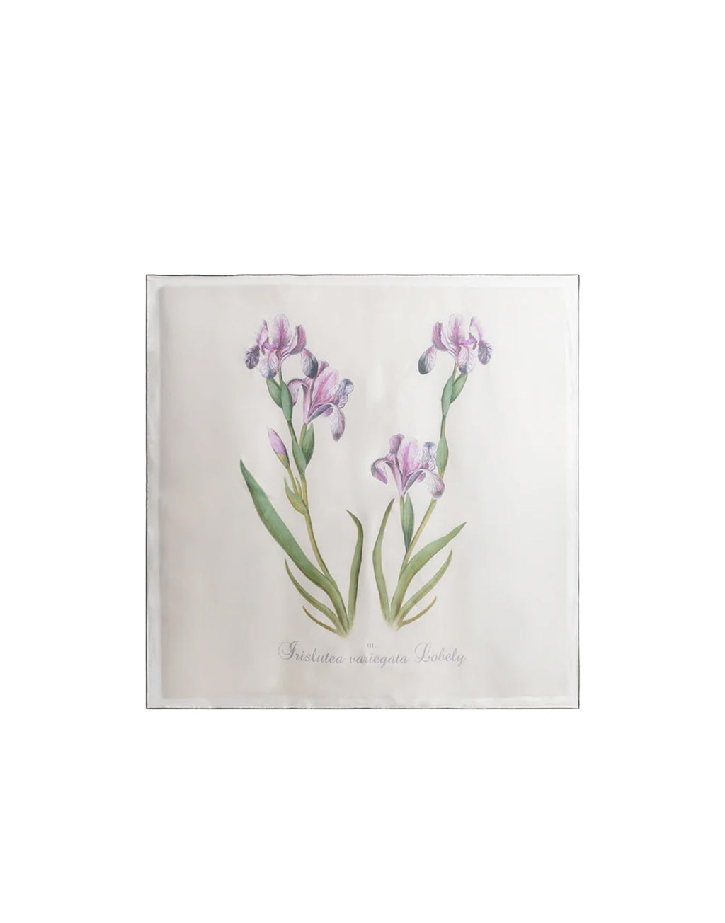 ALBERTA FERRETTI Foulard in Seta con Stampa a Cardo