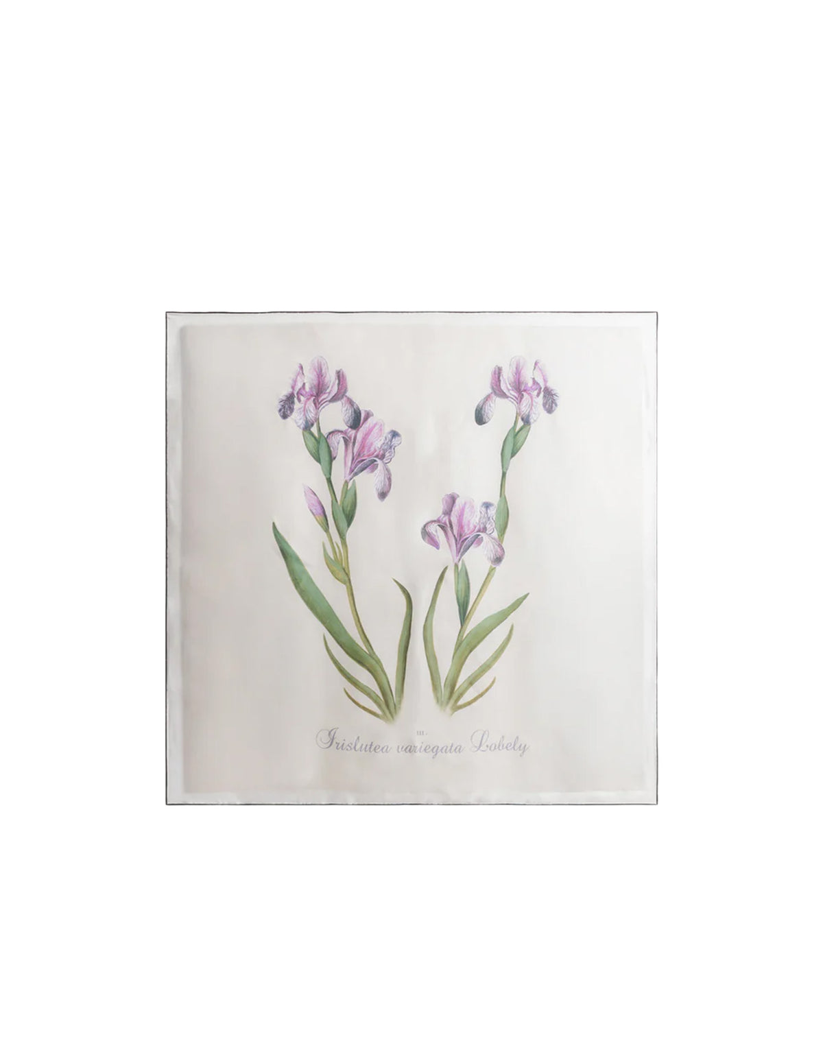 ALBERTA FERRETTI Foulard en soie à imprimé chardon