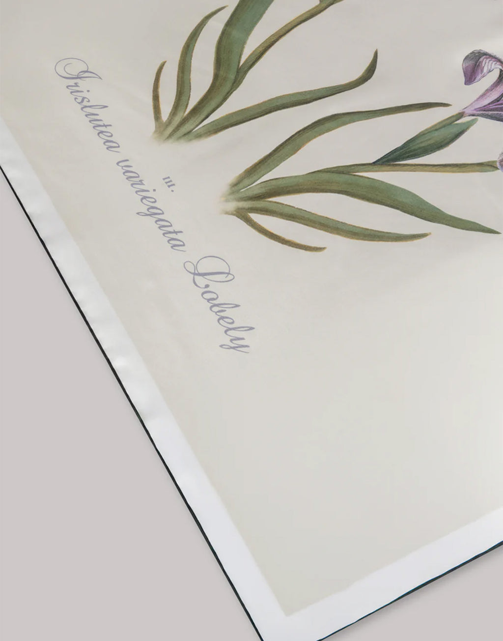 ALBERTA FERRETTI Foulard in Seta con Stampa a Cardo