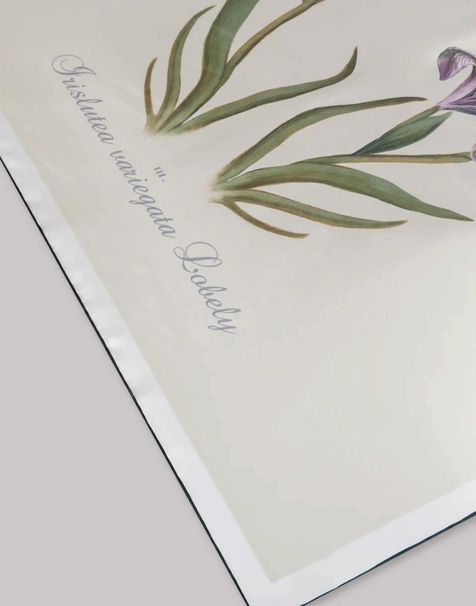 ALBERTA FERRETTI Foulard in Seta con Stampa a Cardo