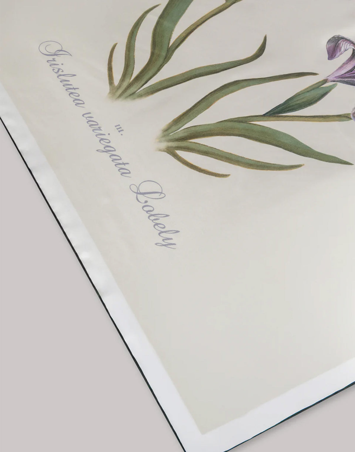 ALBERTA FERRETTI Foulard in Seta con Stampa a Cardo