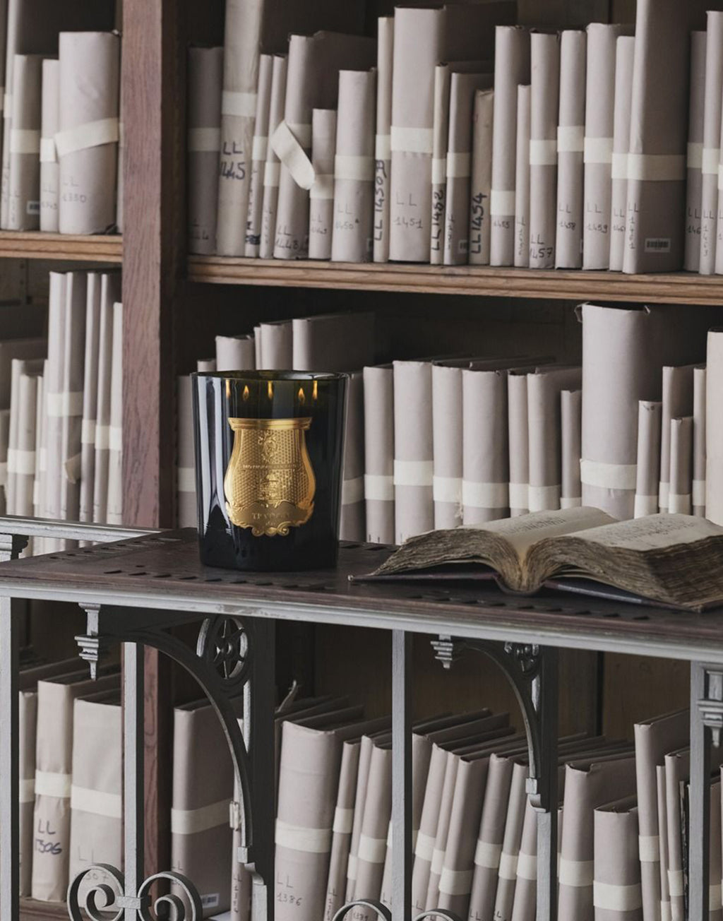 TRUDON Candela Abd El Kader 2,8kg