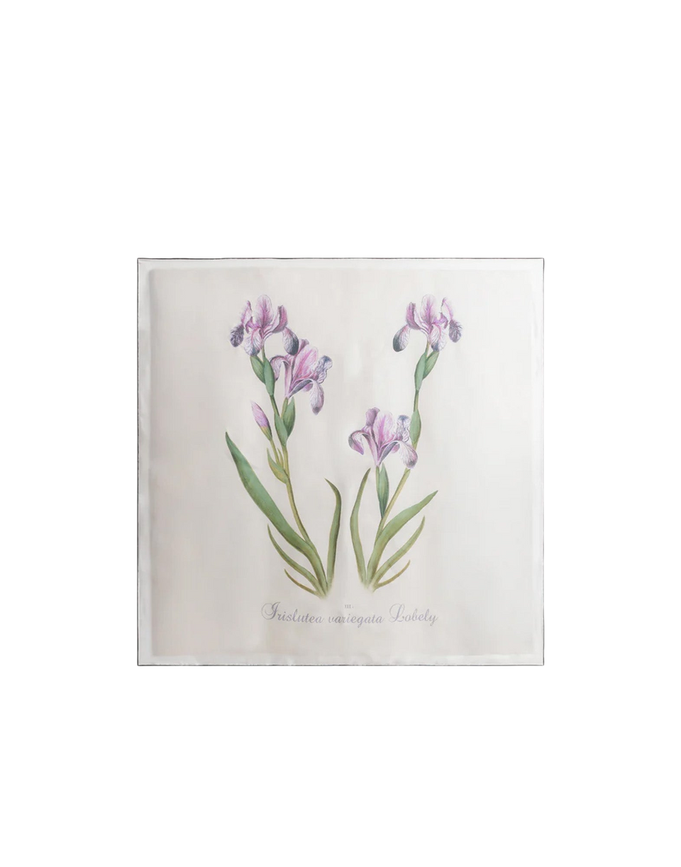 ALBERTA FERRETTI Foulard in Seta con Stampa a Cardo
